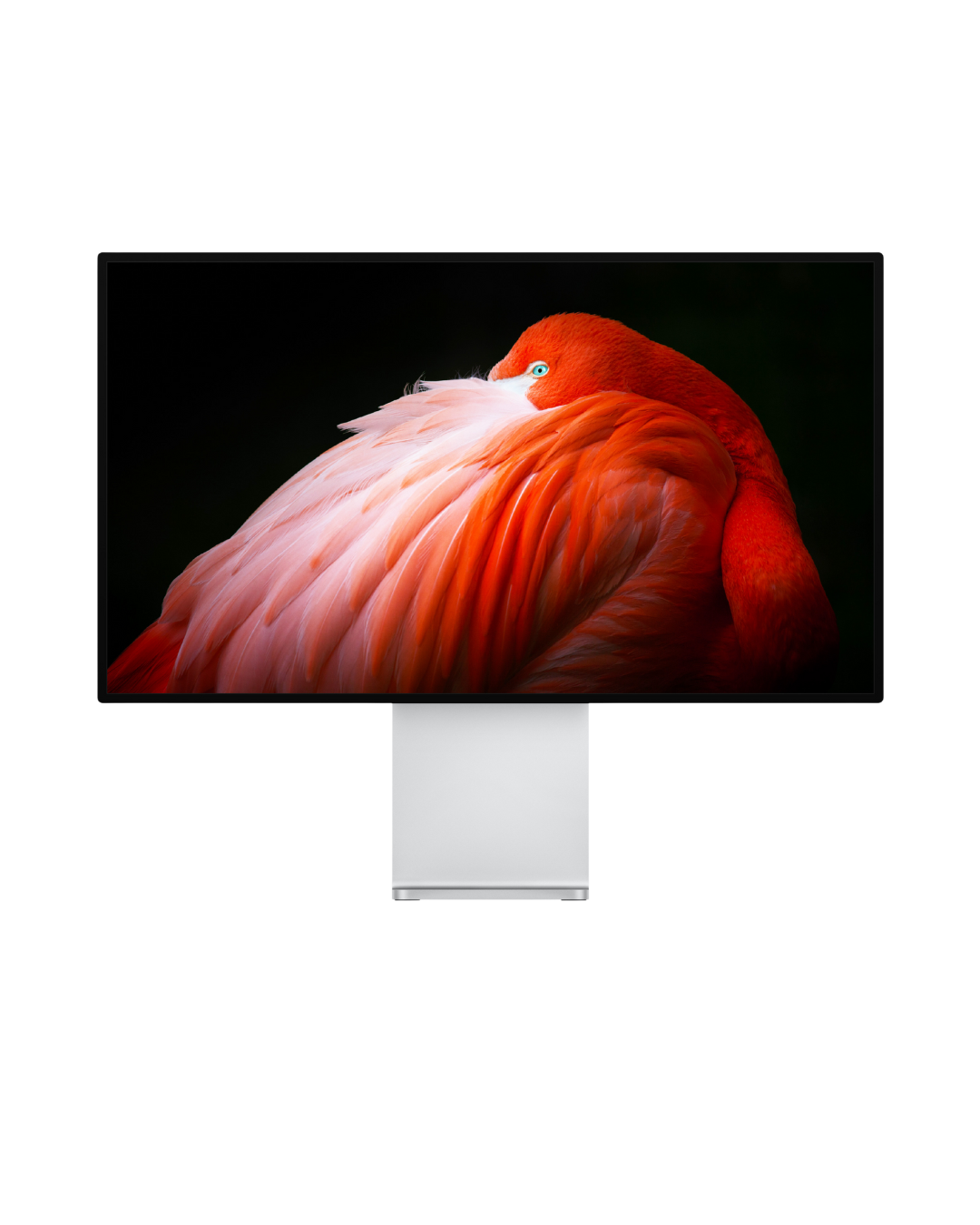 Pro Display XDR